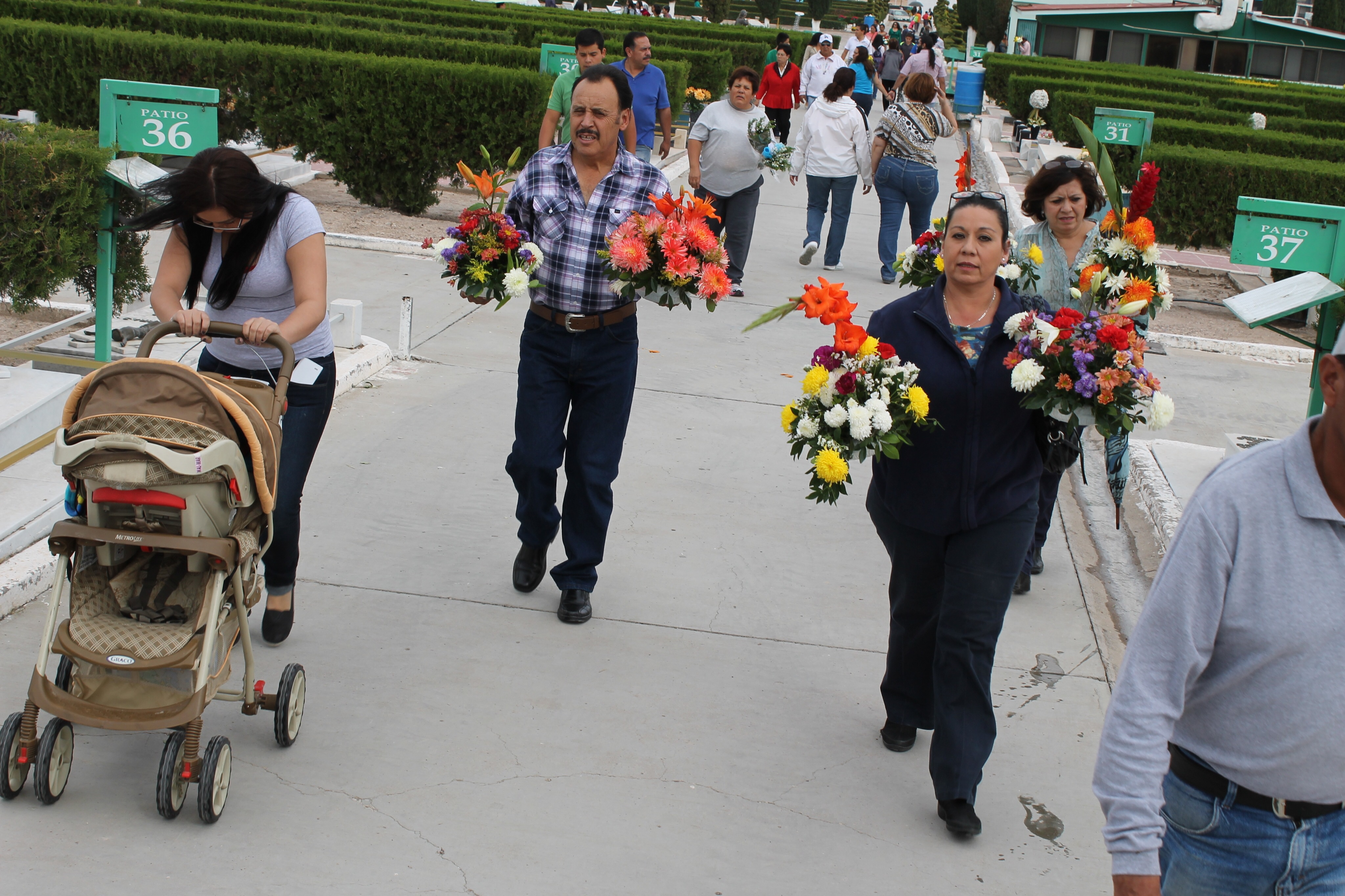 Lleno de flores